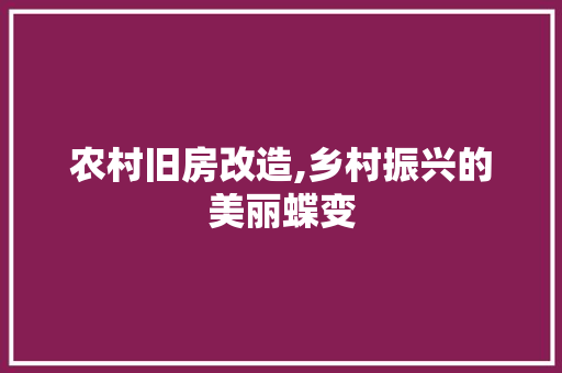农村旧房改造,乡村振兴的美丽蝶变