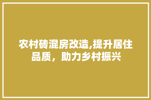 农村砖混房改造,提升居住品质，助力乡村振兴