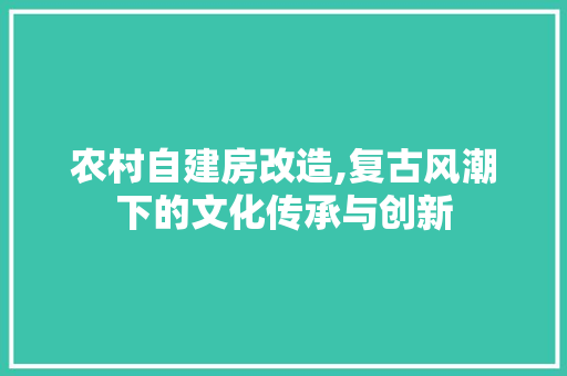 农村自建房改造,复古风潮下的文化传承与创新