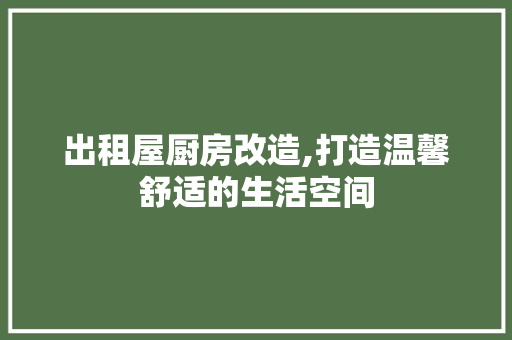 出租屋厨房改造,打造温馨舒适的生活空间