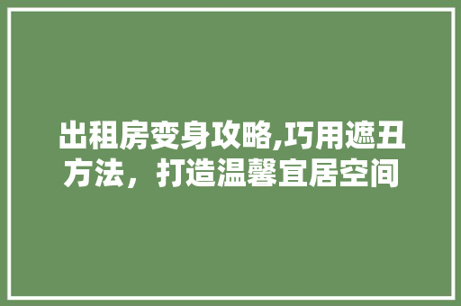 出租房变身攻略,巧用遮丑方法，打造温馨宜居空间