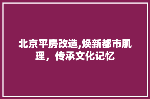 北京平房改造,焕新都市肌理，传承文化记忆
