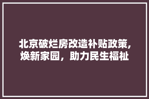 北京破烂房改造补贴政策,焕新家园，助力民生福祉 买房须知