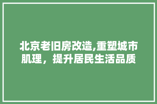 北京老旧房改造,重塑城市肌理，提升居民生活品质