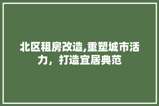 北区租房改造,重塑城市活力，打造宜居典范 二手房