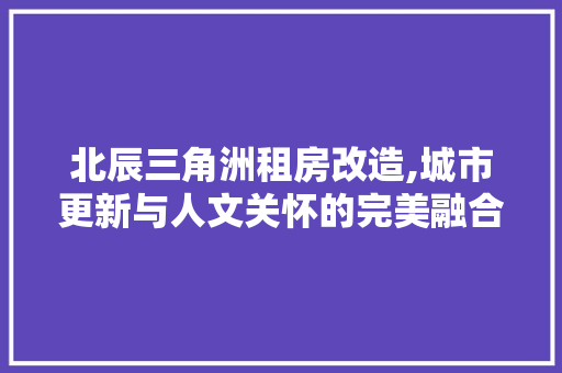北辰三角洲租房改造,城市更新与人文关怀的完美融合
