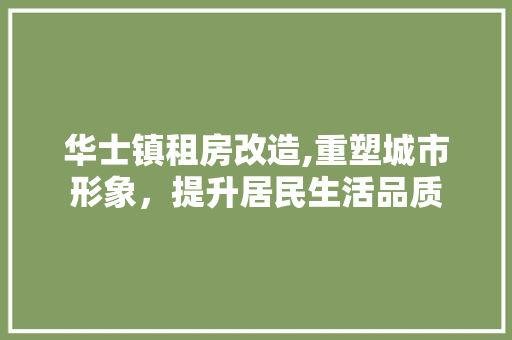 华士镇租房改造,重塑城市形象，提升居民生活品质