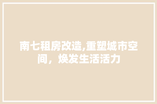 南七租房改造,重塑城市空间，焕发生活活力