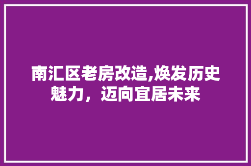 南汇区老房改造,焕发历史魅力，迈向宜居未来