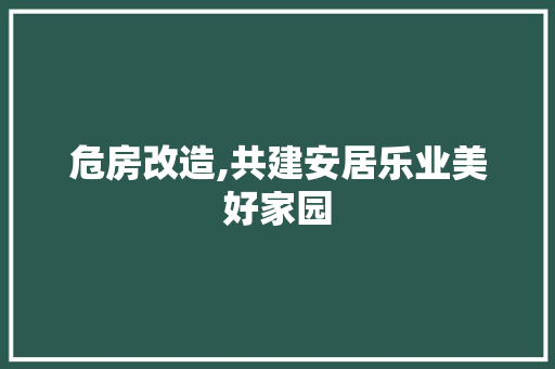 危房改造,共建安居乐业美好家园