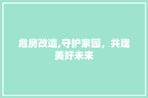 危房改造,守护家园，共建美好未来