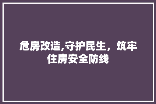 危房改造,守护民生，筑牢住房安全防线 装修知识
