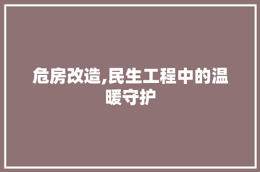 危房改造,民生工程中的温暖守护