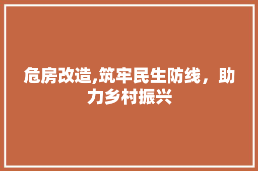 危房改造,筑牢民生防线，助力乡村振兴