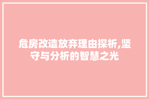 危房改造放弃理由探析,坚守与分析的智慧之光