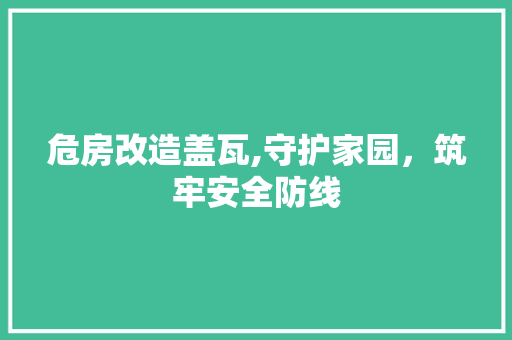 危房改造盖瓦,守护家园，筑牢安全防线 家居装饰