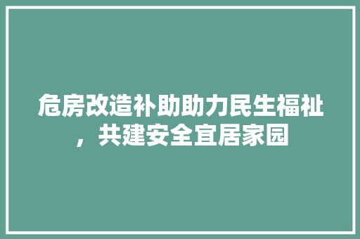 危房改造补助助力民生福祉，共建安全宜居家园