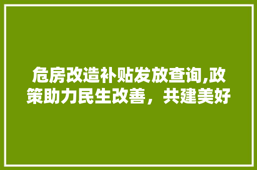危房改造补贴发放查询,政策助力民生改善，共建美好家园 买房须知