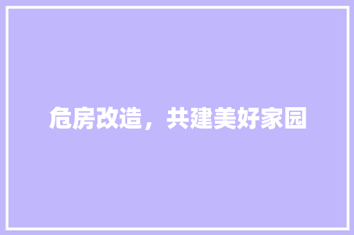 危房改造，共建美好家园
