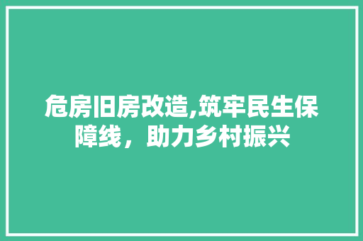 危房旧房改造,筑牢民生保障线，助力乡村振兴