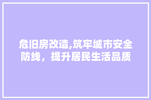 危旧房改造,筑牢城市安全防线，提升居民生活品质