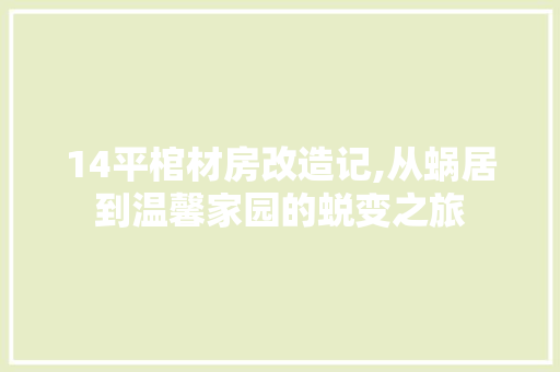 14平棺材房改造记,从蜗居到温馨家园的蜕变之旅