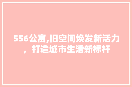 556公寓,旧空间焕发新活力，打造城市生活新标杆
