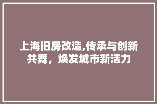 上海旧房改造,传承与创新共舞，焕发城市新活力 买房须知