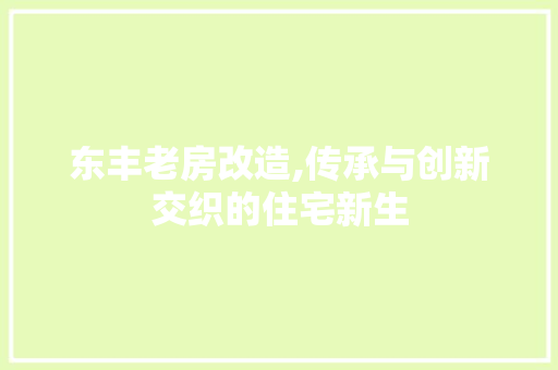 东丰老房改造,传承与创新交织的住宅新生