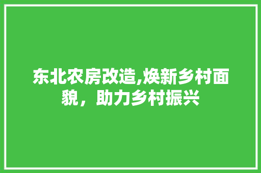 东北农房改造,焕新乡村面貌，助力乡村振兴 家居设计