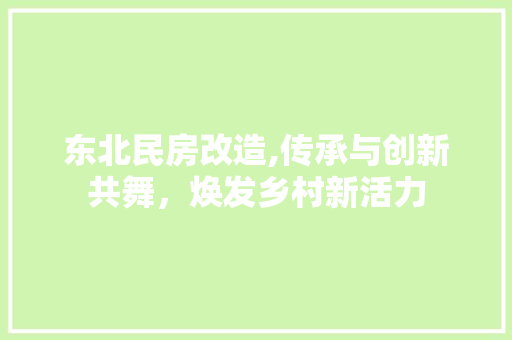 东北民房改造,传承与创新共舞，焕发乡村新活力
