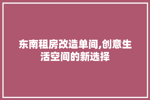 东南租房改造单间,创意生活空间的新选择