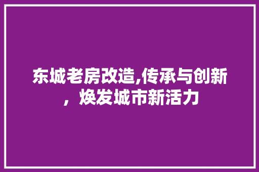 东城老房改造,传承与创新，焕发城市新活力