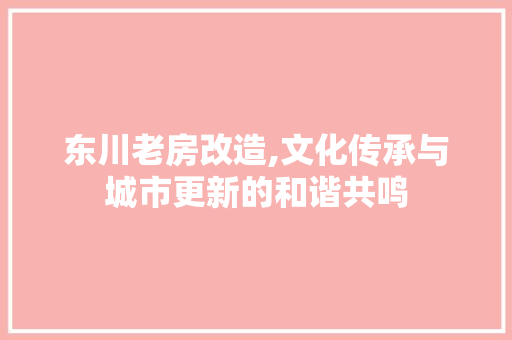 东川老房改造,文化传承与城市更新的和谐共鸣，东川旧城改造。