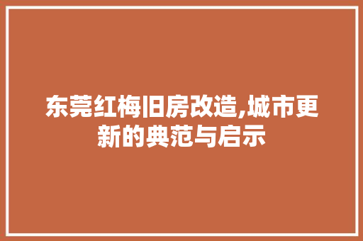 东莞红梅旧房改造,城市更新的典范与启示