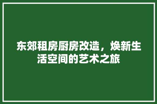 东郊租房厨房改造，焕新生活空间的艺术之旅