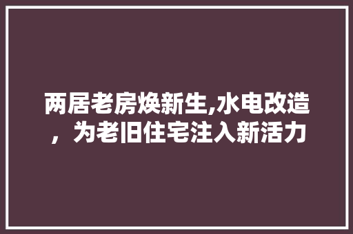 两居老房焕新生,水电改造，为老旧住宅注入新活力 买房须知