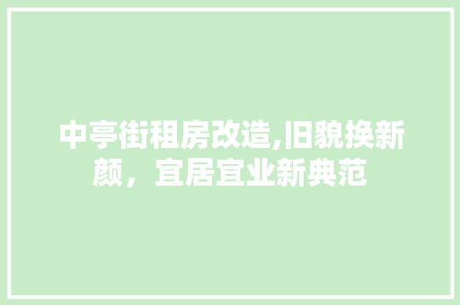 中亭街租房改造,旧貌换新颜，宜居宜业新典范 买房须知