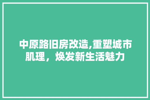 中原路旧房改造,重塑城市肌理，焕发新生活魅力 家居装饰