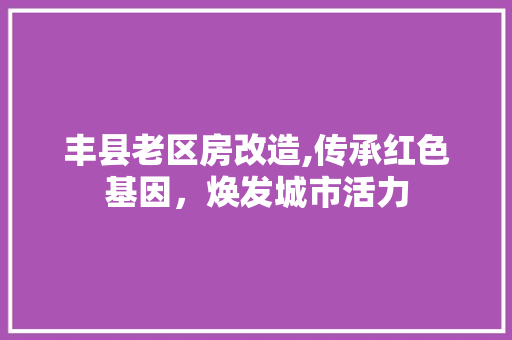 丰县老区房改造,传承红色基因，焕发城市活力 二手房