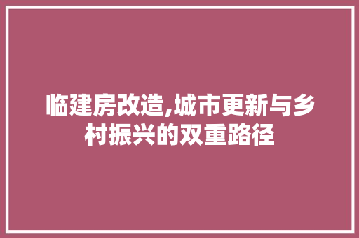 临建房改造,城市更新与乡村振兴的双重路径 装修知识