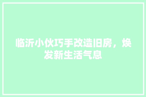 临沂小伙巧手改造旧房，焕发新生活气息 家居装饰