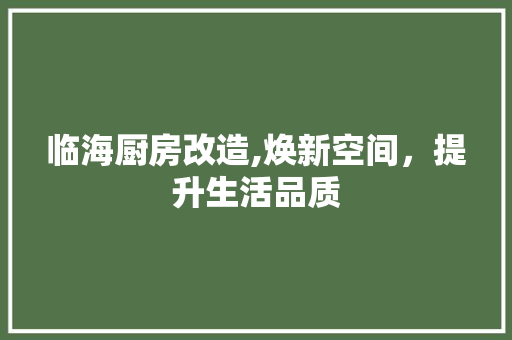 临海厨房改造,焕新空间，提升生活品质 装修知识
