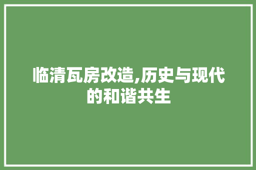 临清瓦房改造,历史与现代的和谐共生