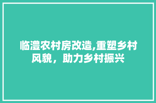 临澧农村房改造,重塑乡村风貌，助力乡村振兴