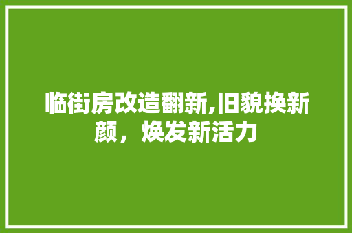 临街房改造翻新,旧貌换新颜，焕发新活力