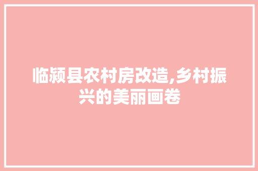 临颍县农村房改造,乡村振兴的美丽画卷