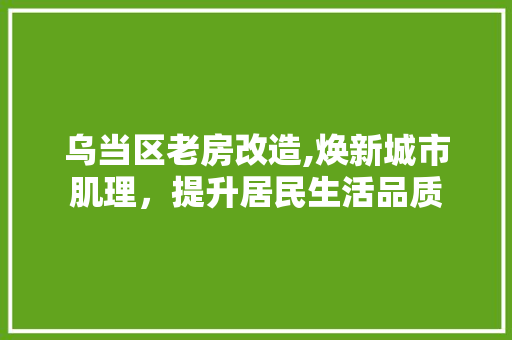 乌当区老房改造,焕新城市肌理，提升居民生活品质 买房须知