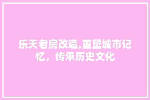 乐天老房改造,重塑城市记忆，传承历史文化