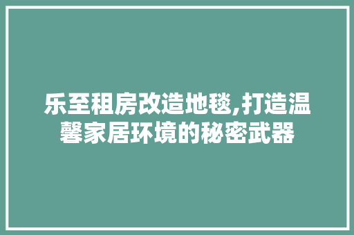 乐至租房改造地毯,打造温馨家居环境的秘密武器